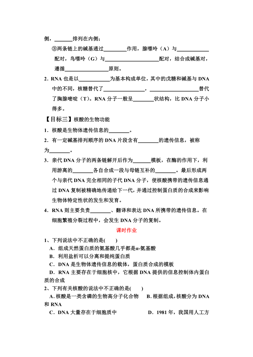 第四章第三节 核酸 导学案（含解析）高二化学人教版（2019）选择性必修3