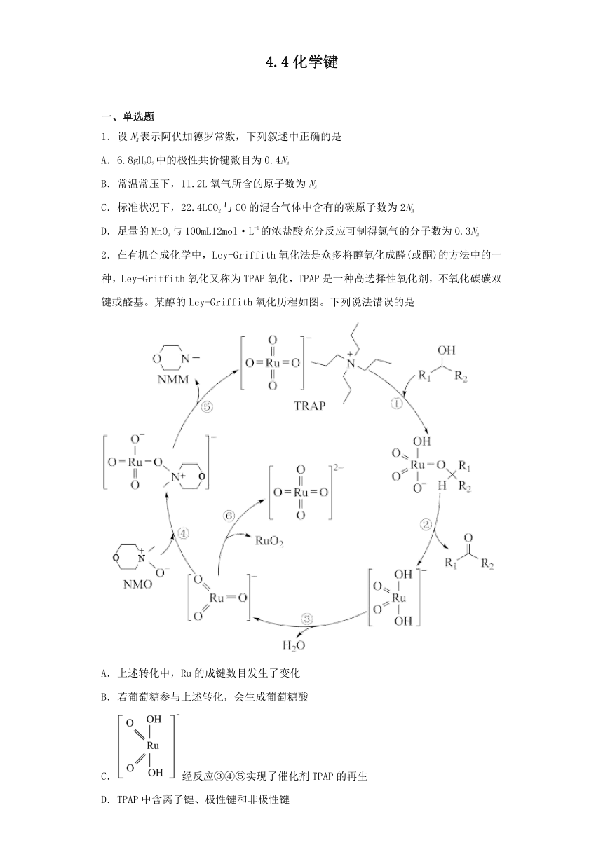 4.4化学键 同步练习（含答案） 2022-2023学年高一上学期化学沪科版（2020）必修第一册