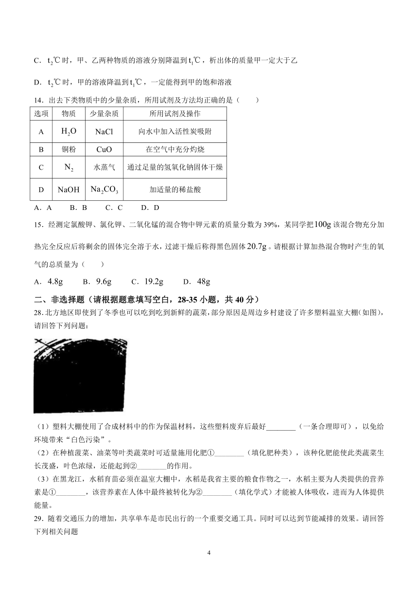 2023年黑龙江省哈尔滨市阿城区中考研测试（三）化学试题(含答案)