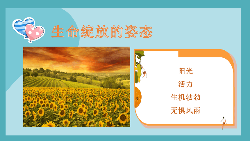 向阳花开：生命绽放的姿态 (共23张PPT) —— 班会课课件