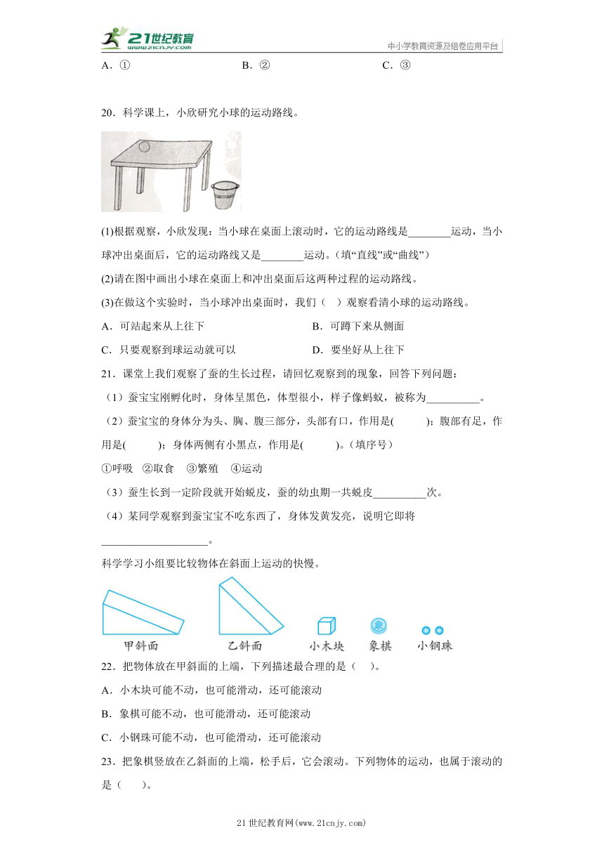 专题训练：综合题 小学科学三年级下册 教科版 含答案解析 21世纪教育网