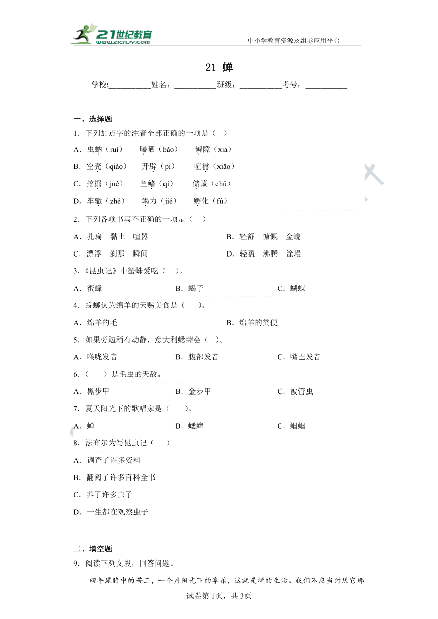 课件预览