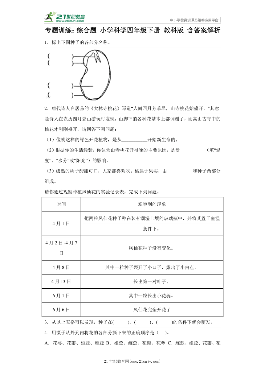 专题训练：综合题 小学科学四年级下册 教科版 含答案解析 21世纪教育网