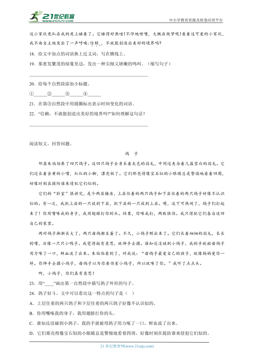 课件预览