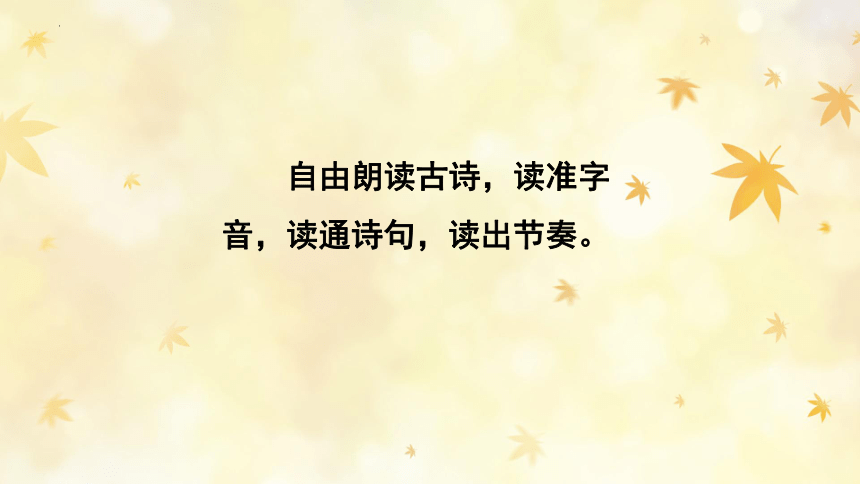 课件预览