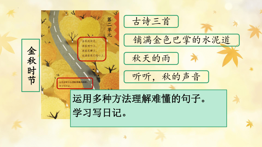 课件预览