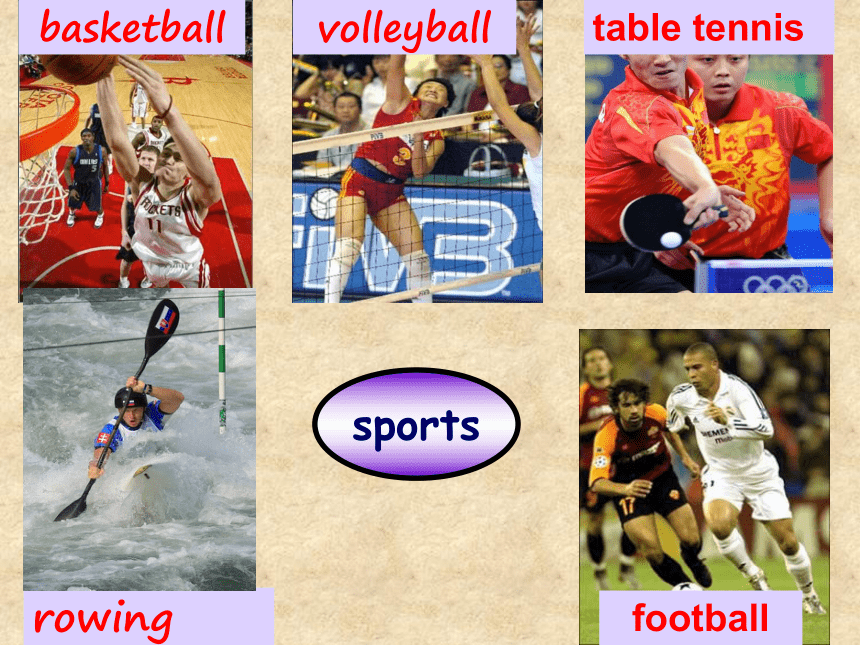 Unit 1 Playing Sports Topic 1 I'm going to play basketball. Section D 课件(共22张PPT)