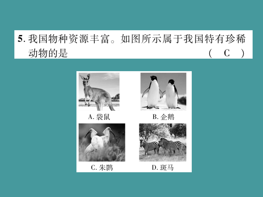 冀少版生物七年级上册4.10 我国的珍稀动物课件(21张PPT)