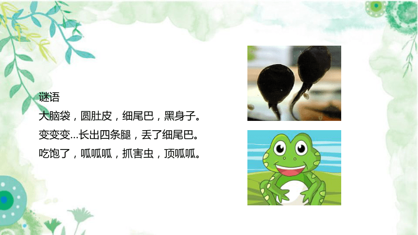 课件预览