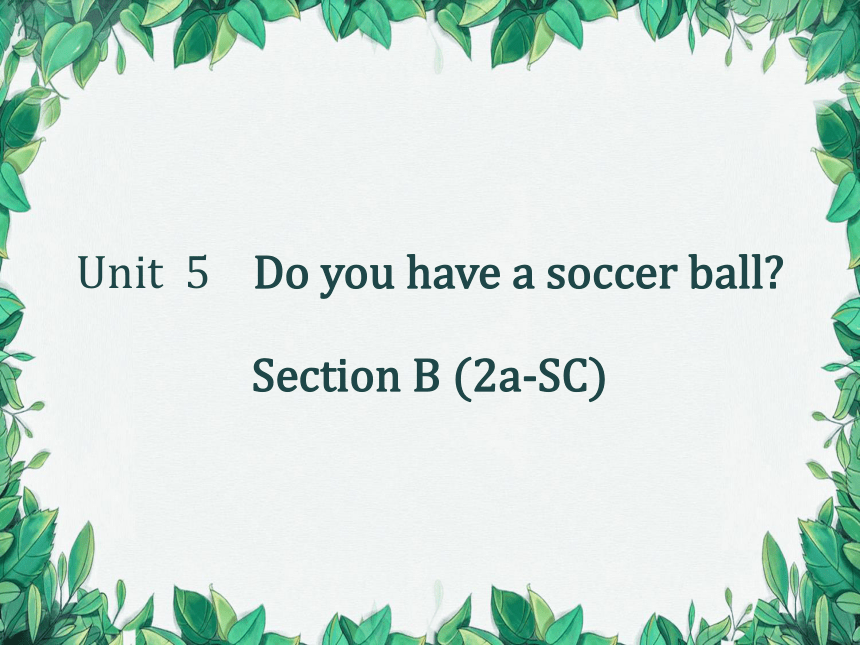 Unit 5 Do You Have A Soccer Ball Section B (2a-SC) 课件(共16张PPT)-21世纪教育网