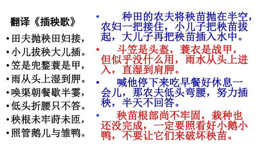 6.2《插秧歌》课件（31张PPT）统编版高中语文必修上册