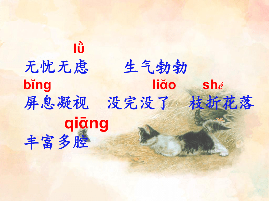 课件预览