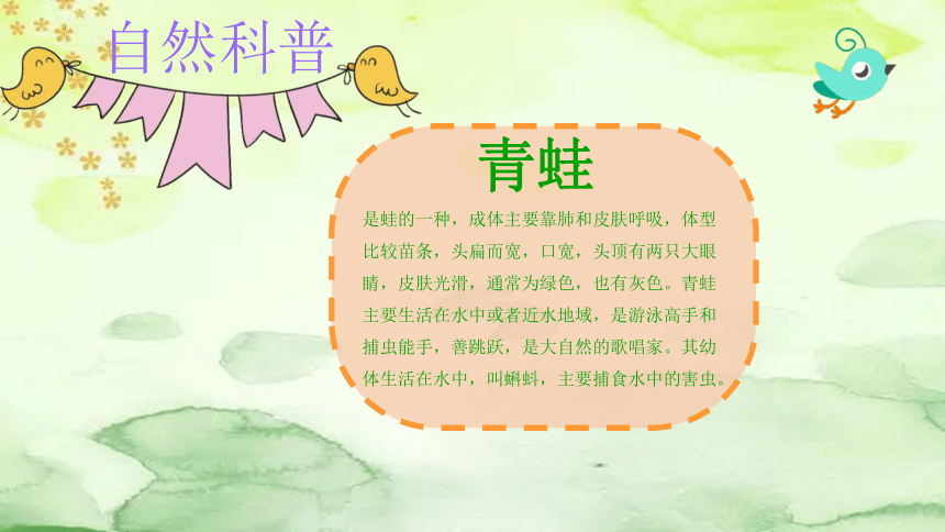 课件预览