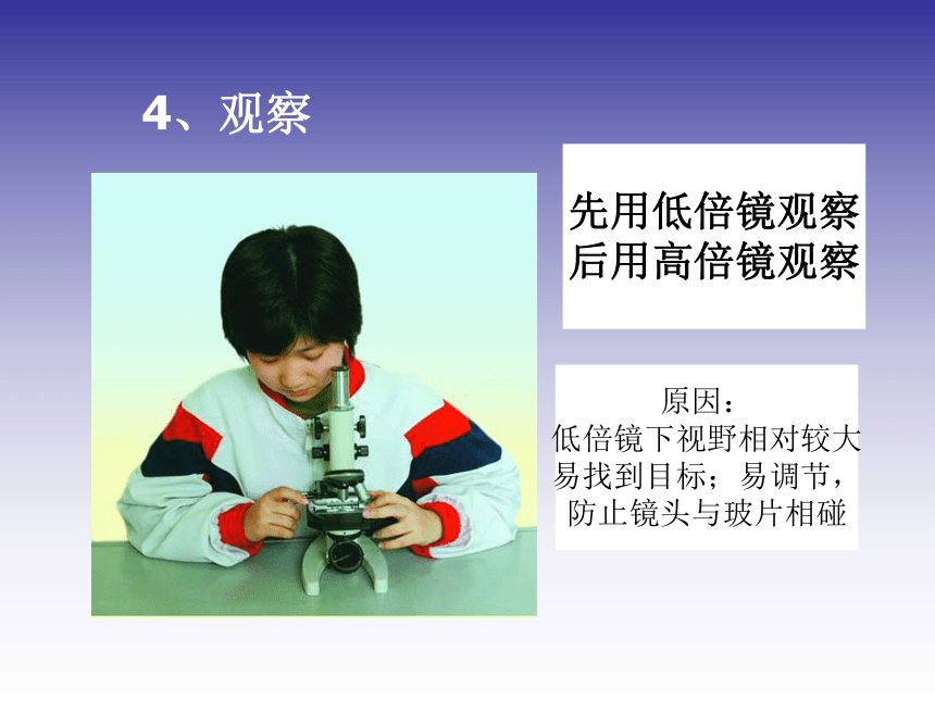第2节 细胞（第2课时）——显微镜的使用