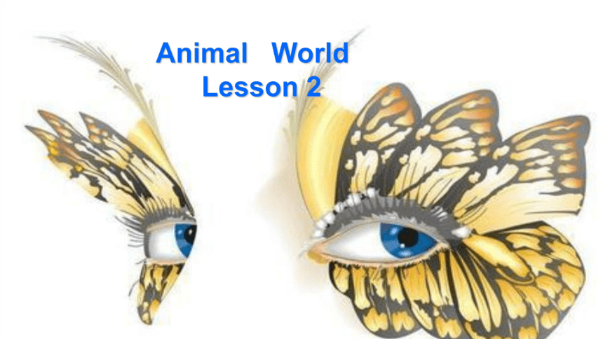 Unit 3 Animal World Lesson 2 课件