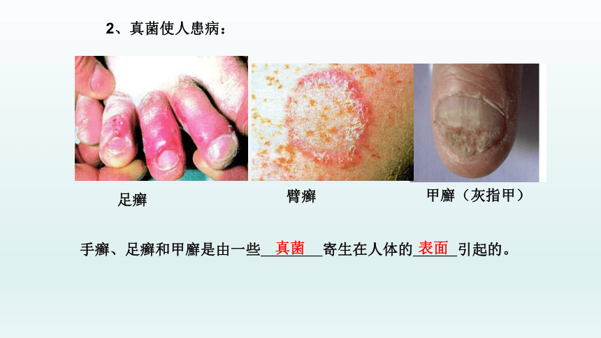 人教版八年级生物上册  5.4.4 细菌和真菌自然界中的作用课件（28张PPT）