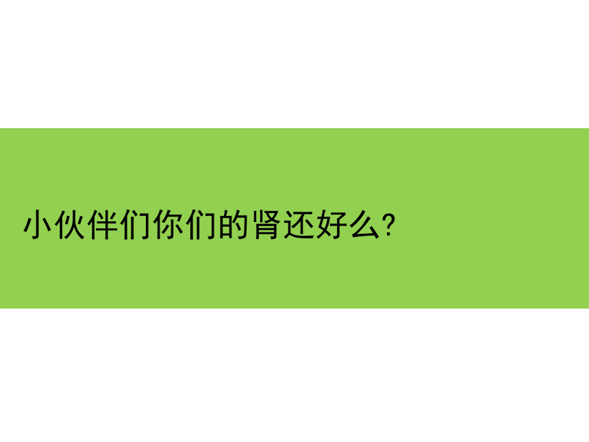 上海版八年级上册生物  1.2.7 泌尿系统是如何维持内环境稳定的 课件(17张PPT)