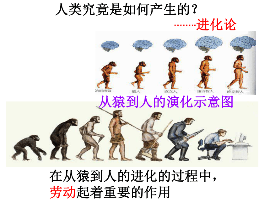 人教部编版七年级历史上册第1课中国早期人类的代表—北京人 课件(共30张PPT)