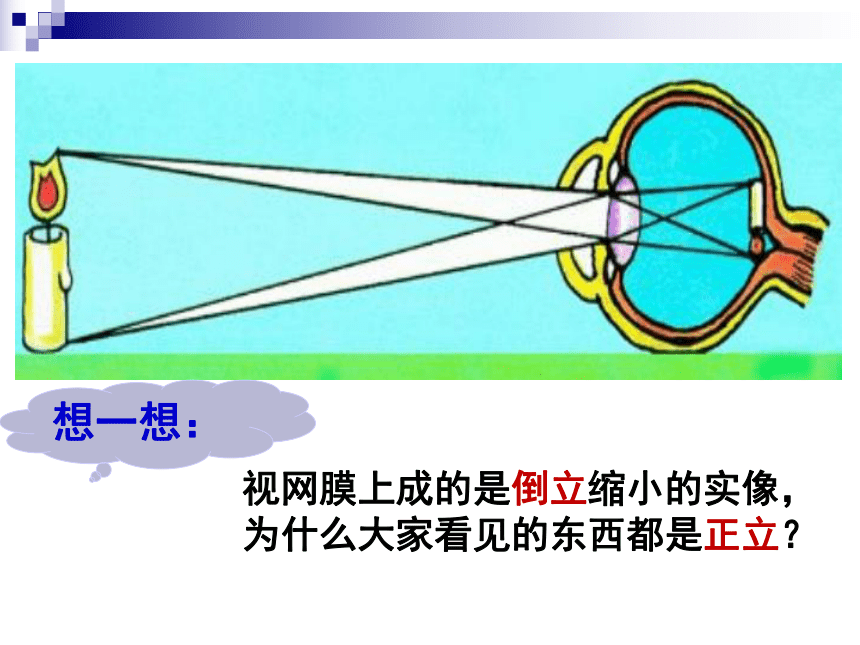 沪粤版八年级上册物理  3.7 眼镜与光学仪器 课件(40张PPT)