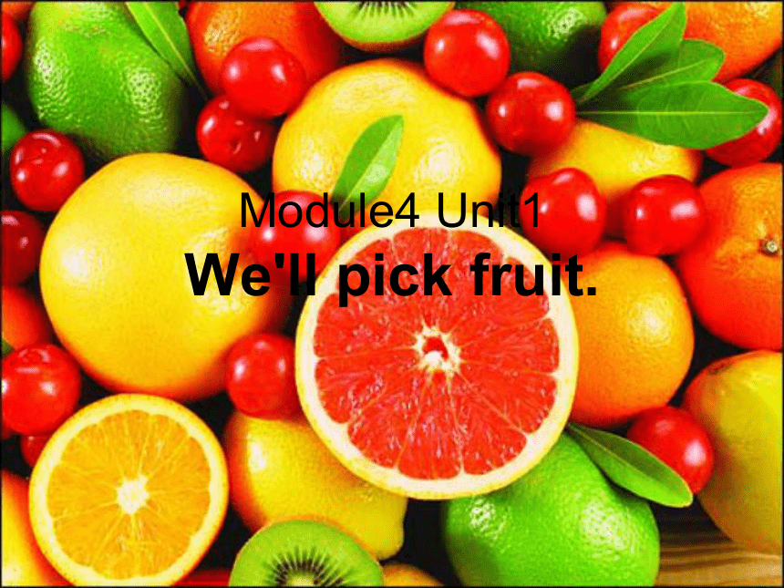 Unit 1 We'll pick fruit 课件