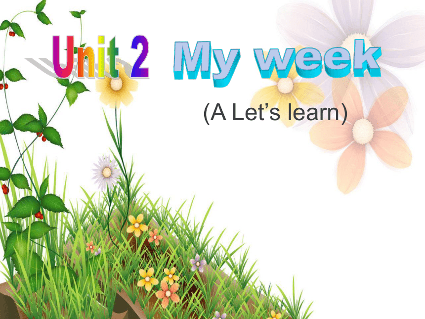 Unit 2 My week PA Let’s learn 课件