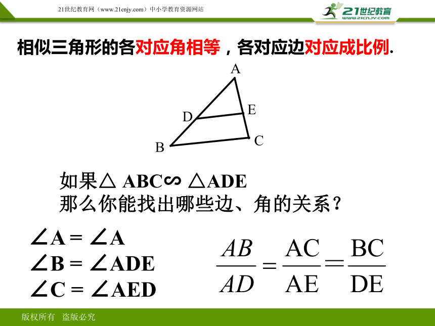 第二十七章 相似三角形综合复习1（课件）