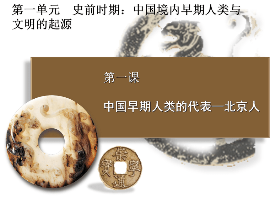 人教部编版七年级历史上册第1课中国早期人类的代表—北京人 课件(共30张PPT)