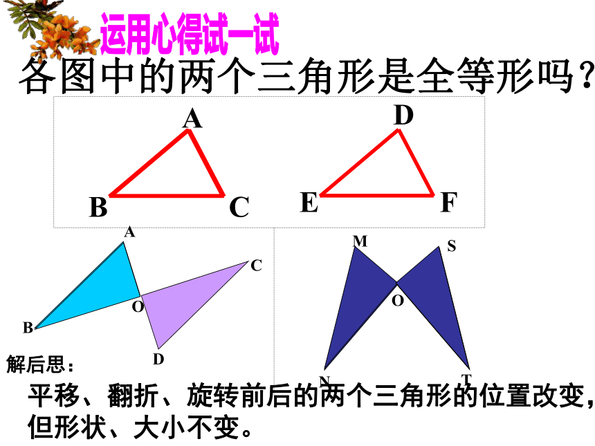 1.1 全等三角形 课件(共31张PPT)