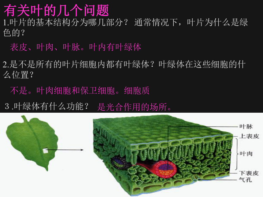 北京课改版七年级生物上册教学课件4.2绿色植物的光合作用 （共22张PPT）