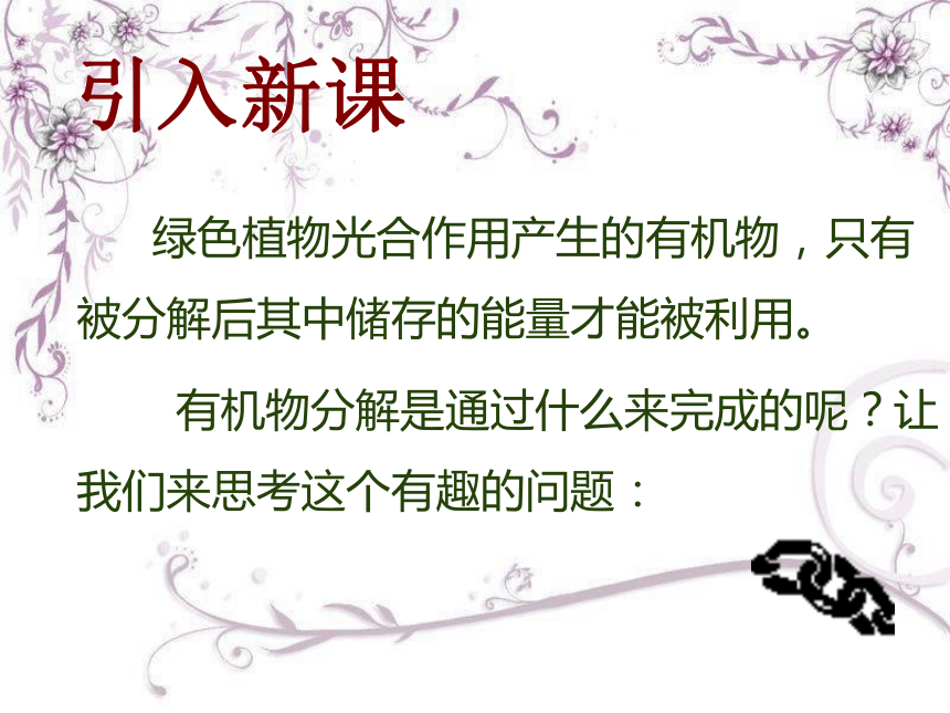 3. 5.2绿色植物的呼吸作用 (共57张PPT)