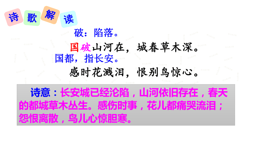 人教部编版八年级语文上册25《诗词五首》之《春望》课件（34张ppt）