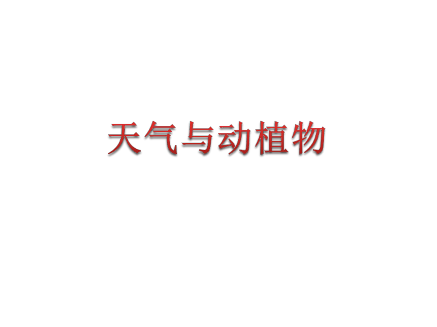 冀教版一年级科学天气与动植物 课件