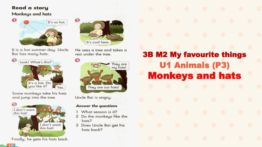 Module 2 Unit 1 Animals（Period 3 Monkeys and hats）课件（23张PPT）