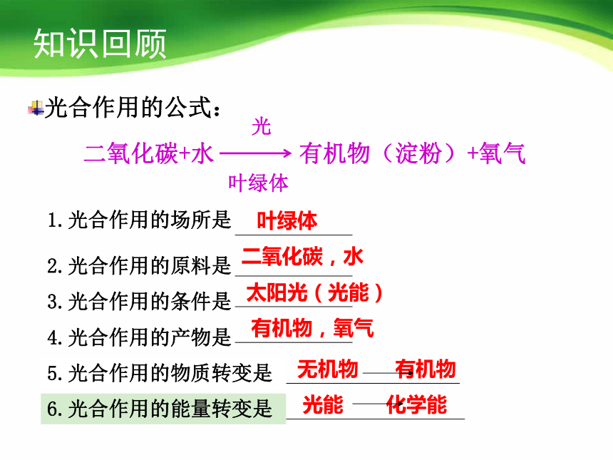 3. 5.2绿色植物的呼吸作用 (共57张PPT)