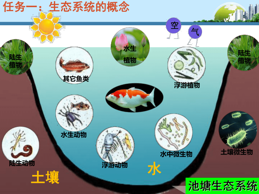 济南版八下生物 6.2.1生态系统的组成 课件(28张PPT)