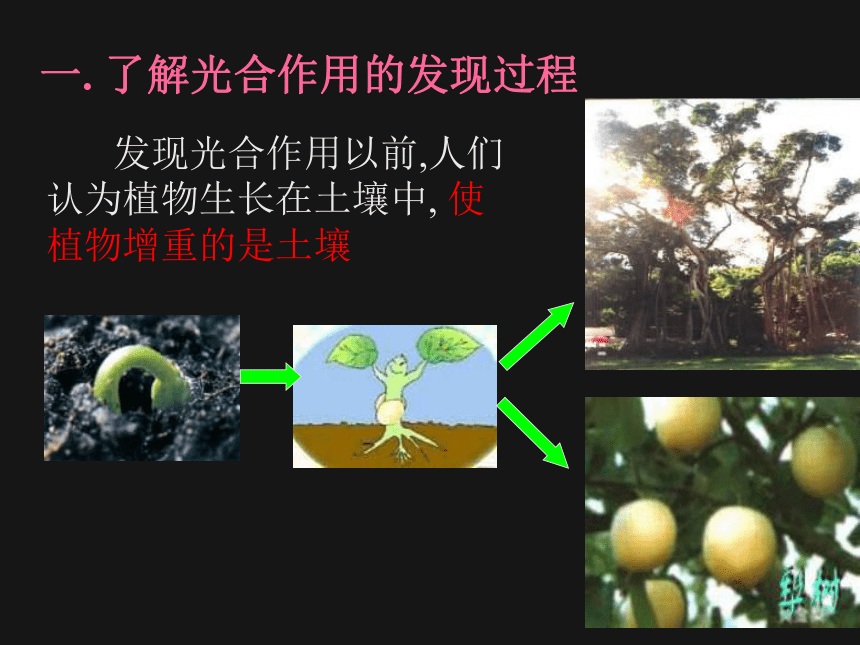 北京课改版七年级生物上册教学课件4.2绿色植物的光合作用 （共22张PPT）