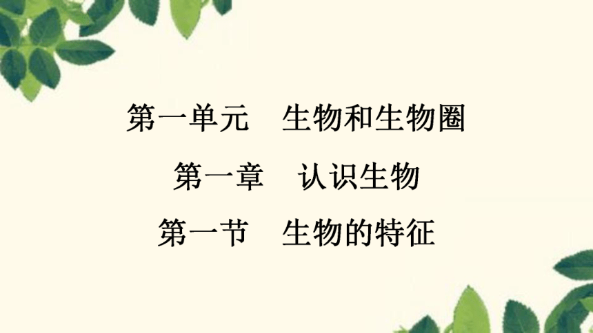 课件预览