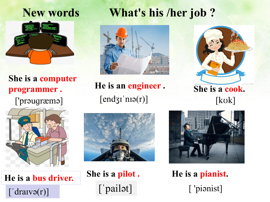 人教版八年级上册Unit 6 I'm going to study computer science.Section A 1a-2c课件(共 ...