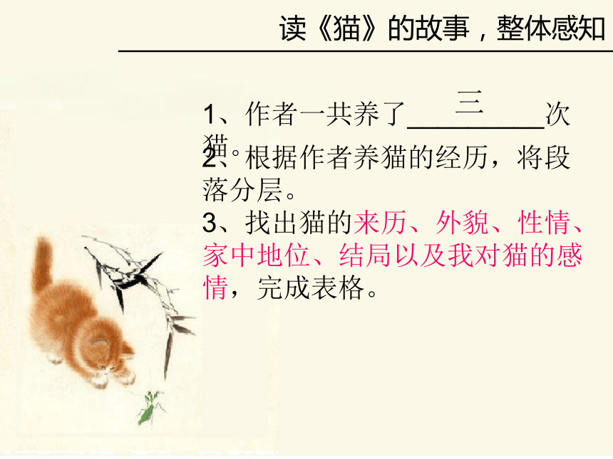 如何教育猫（如何教育猫咪不抓沙发） 怎样
教诲
猫（怎样
教诲
猫咪不抓沙发）《怎么教猫不乱抓东西》 教育知识