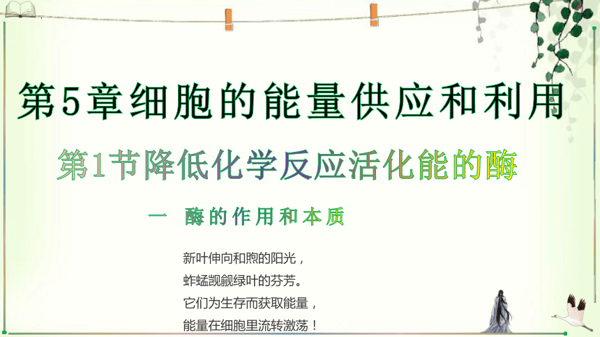 课件预览