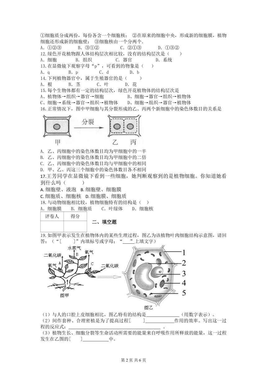 课件预览