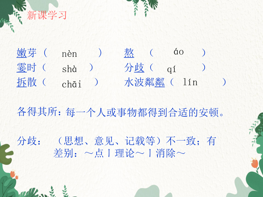 课件预览