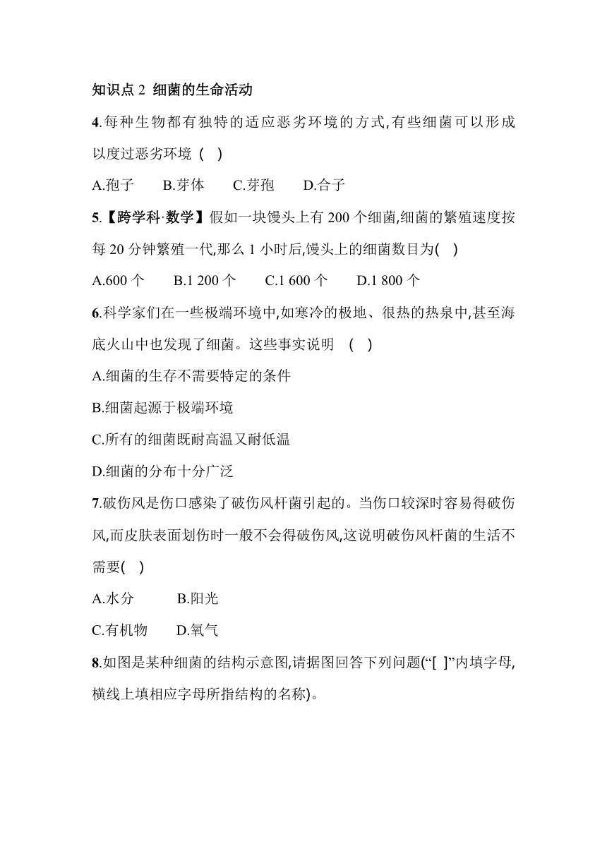 2.3.2　细菌素养提升练（含解析）山东省济南市济南版生物七年级上册