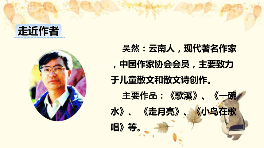 课件预览