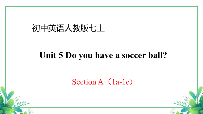 Unit 5 Do You Have A Soccer Ball?Section A（1a-1c）课件 2023-2024学年人教版英语七年级 ...