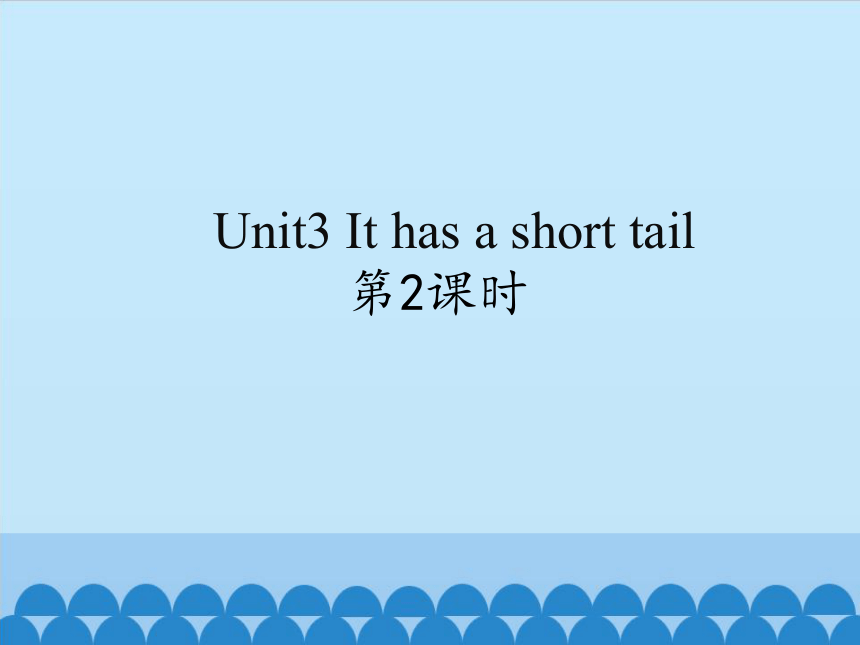 unit3-it-has-a-short-tail-2-20-ppt-21