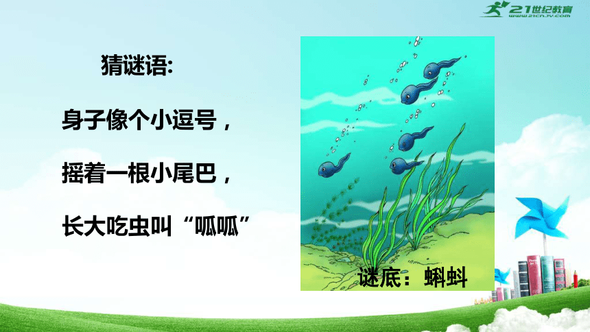 课件预览