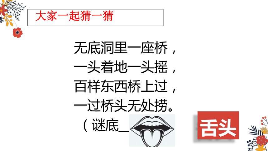 一年级上册科学课件《6 借助工具观察》苏教版 (共27张PPT)