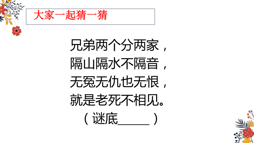 一年级上册科学课件《6 借助工具观察》苏教版 (共27张PPT)