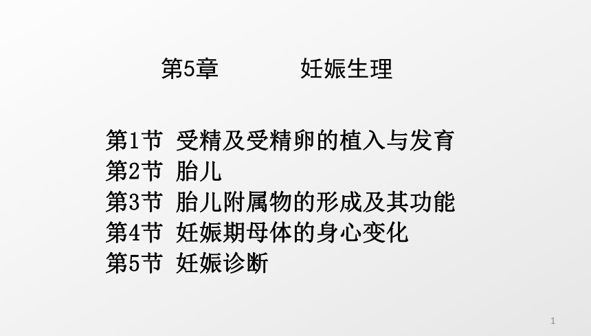 课件预览